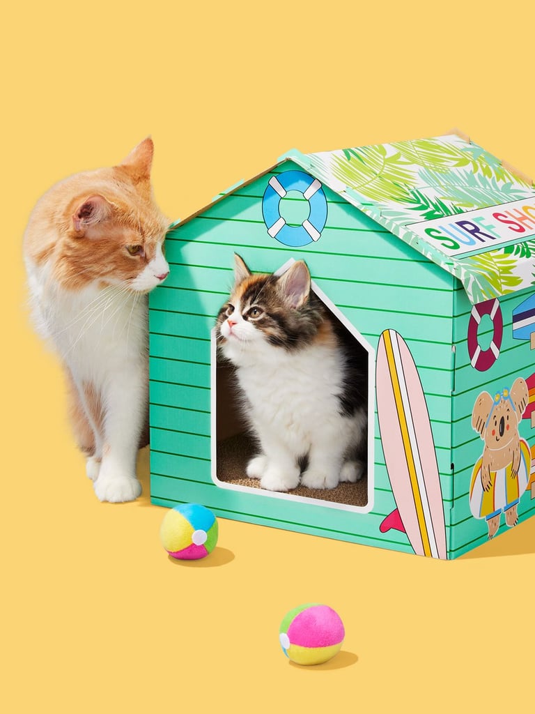 Best Summer Cat Scratch Houses at Target