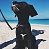 Flamingo Beach In Aruba Popsugar Smart Living