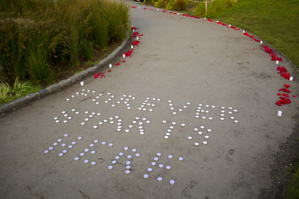 Proposal at the Palace of Fine Arts