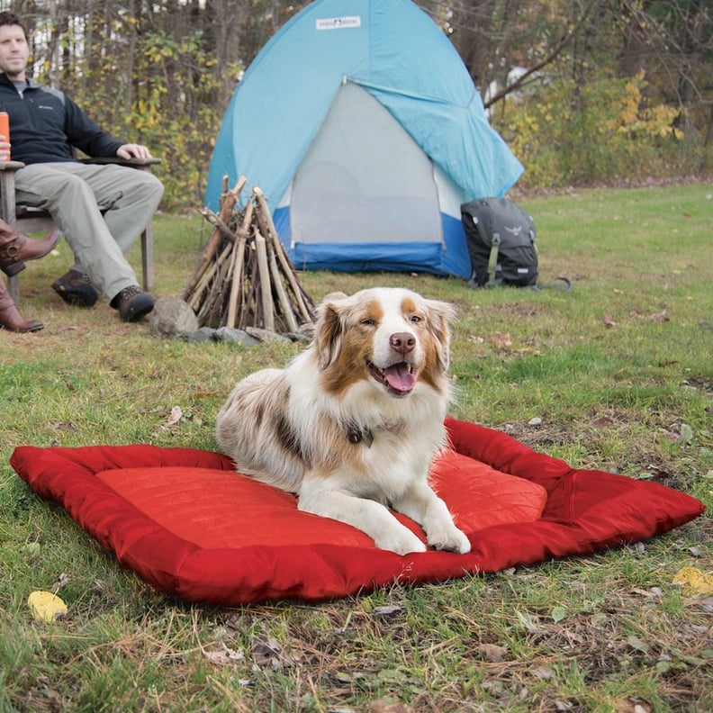 Loft Wander Dog Bed