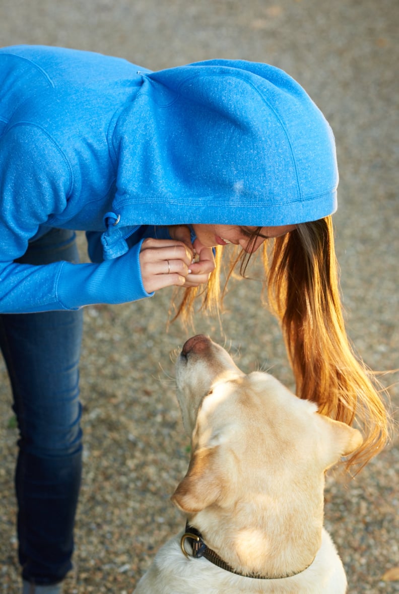 Dog Walking and Pet Sitting