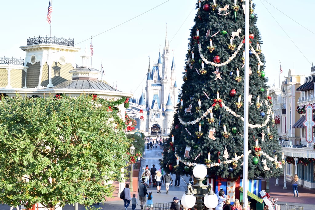 Holiday Decorations