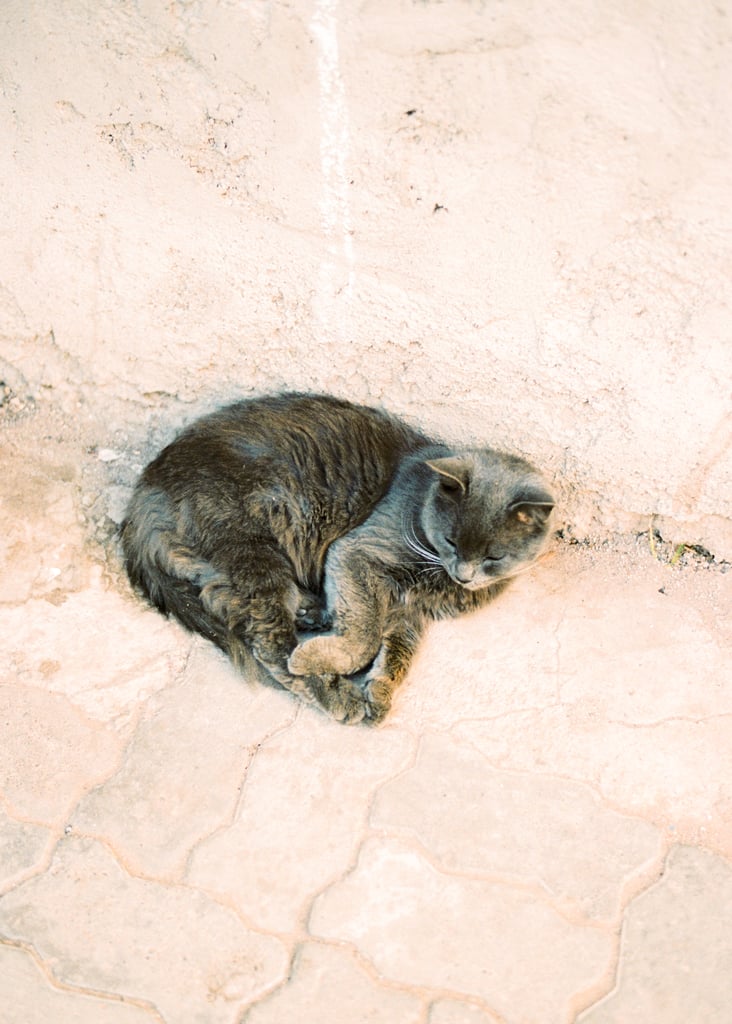 Things to Do in Morocco