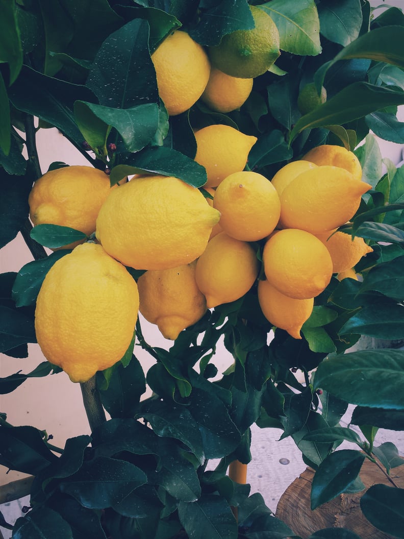 Lemons iPhone Wallpaper