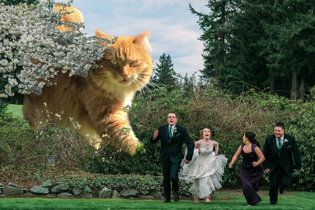 Forest-Disney Wedding