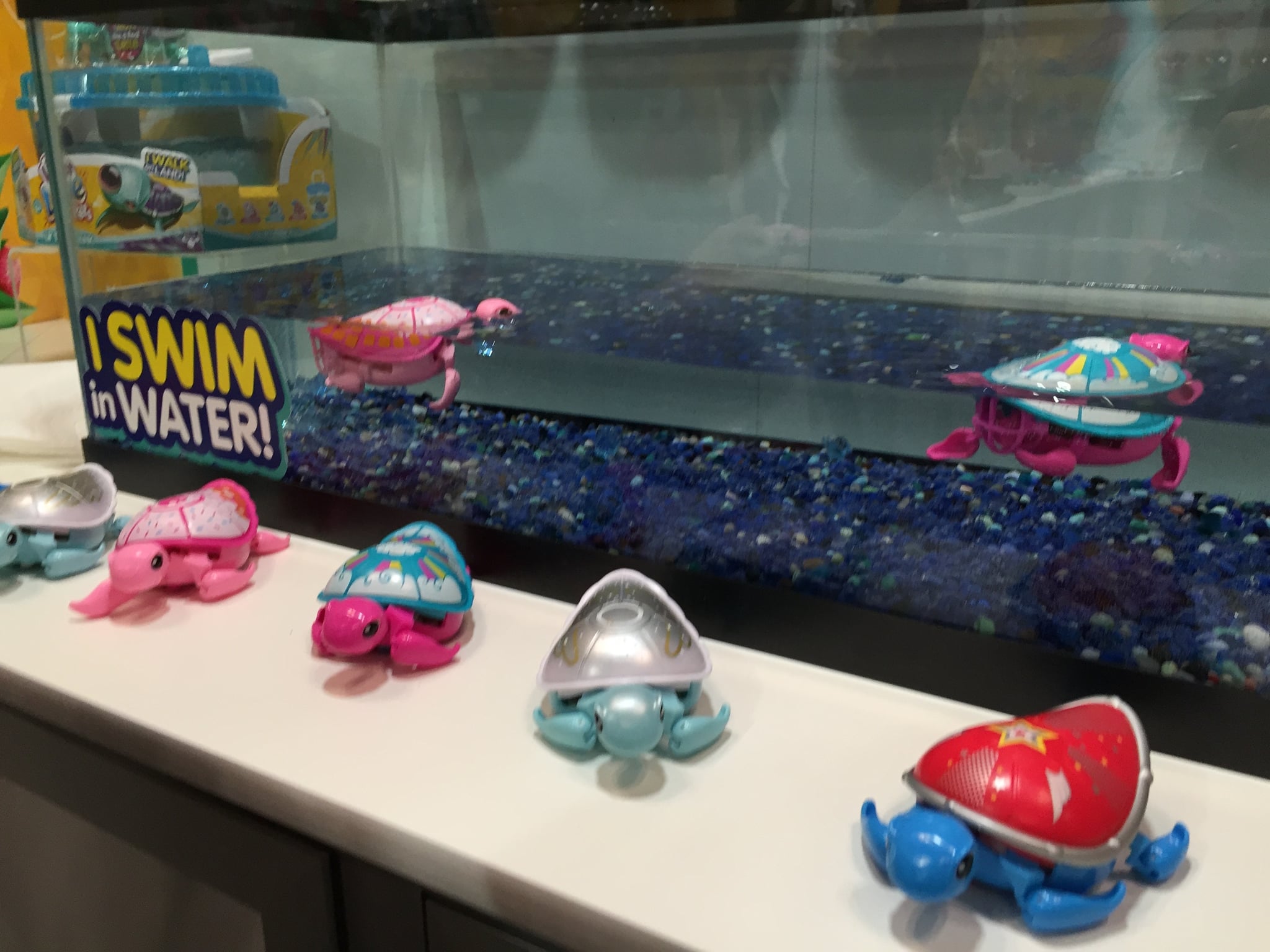 Little Live Pets Turtle And Baby Welcome To Buy Ulliyeriscb Com