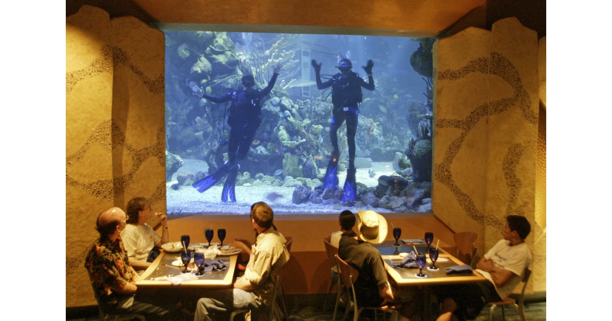 Go Scuba Diving or Snorkeling at Epcot Things You Didn't Know Your