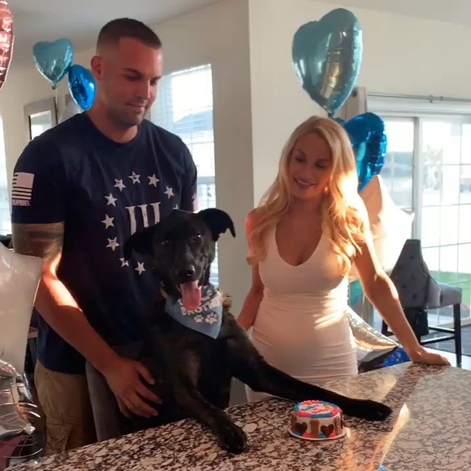 Dog Eating Gender Reveal Cake