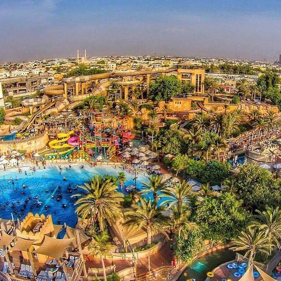 حديقة وايلد وادي المائية تعيد فتح أبوابها  في دبي من جديد