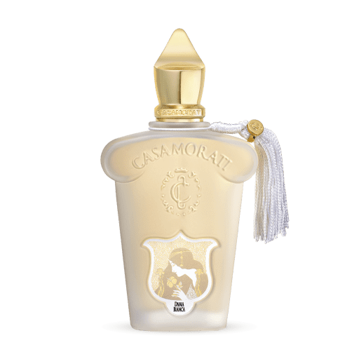A Citrus Perfume