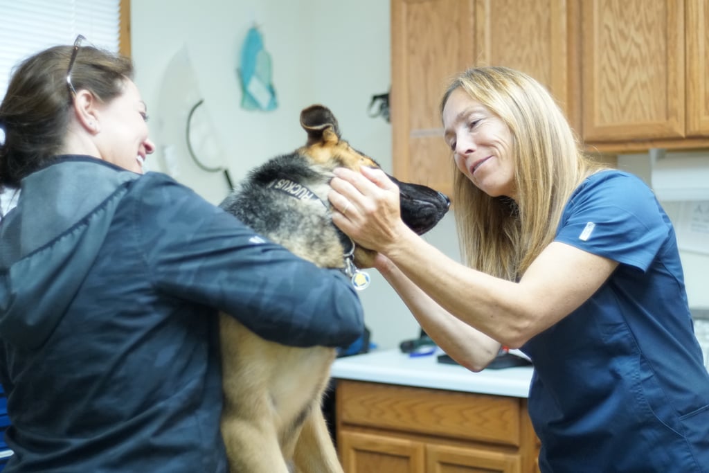 Dr. Oakley, Yukon Vet