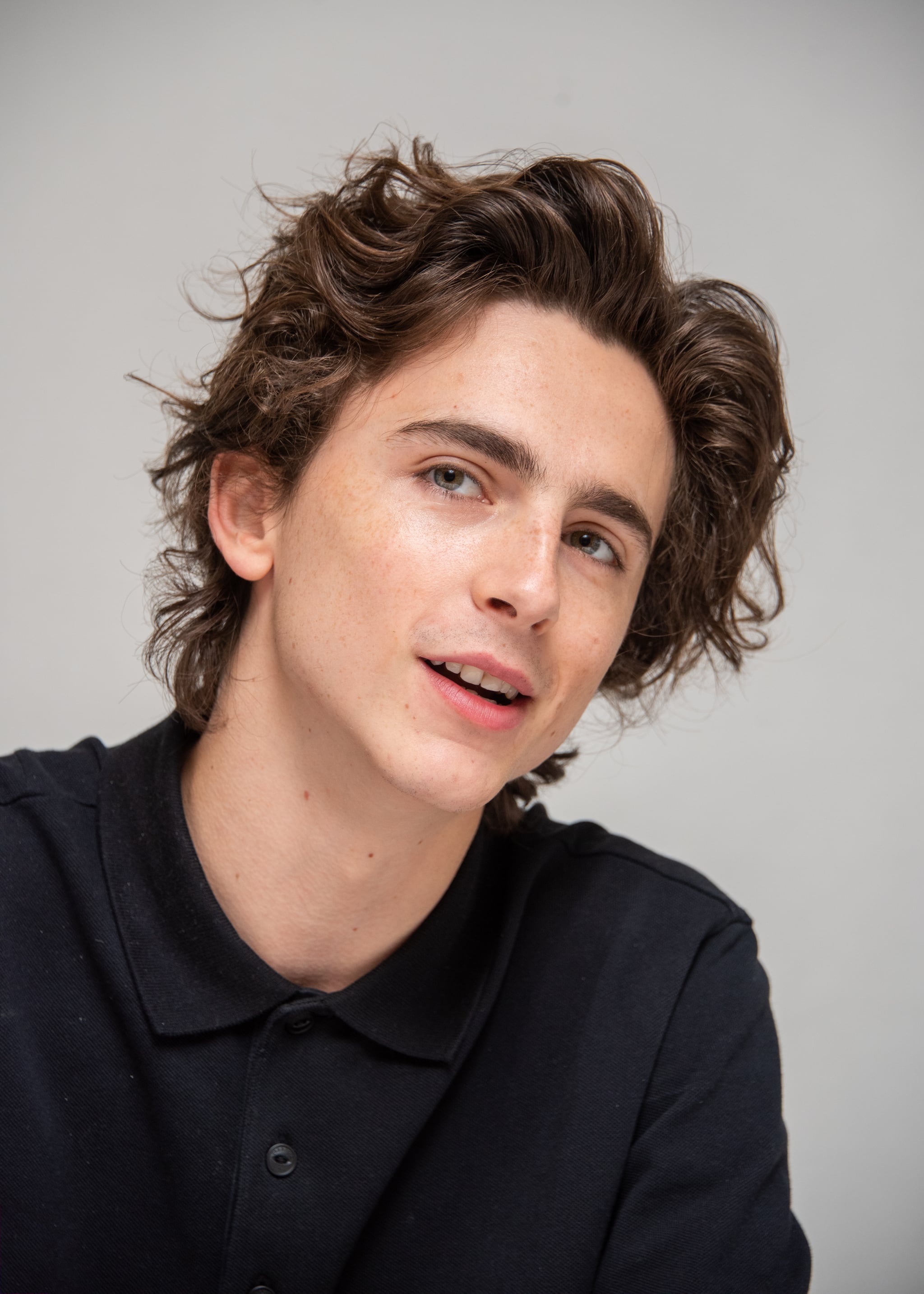 An Ode To Timothee Chalamet S Insanely Chiseled Jawline Popsugar