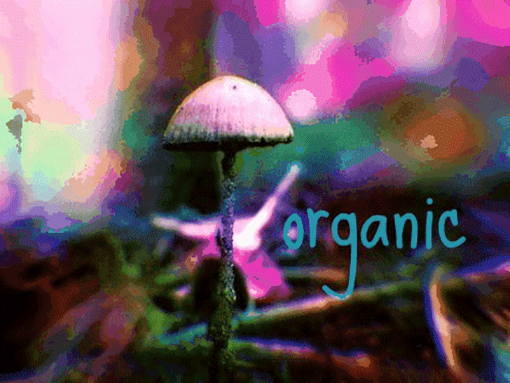 Top 10 Signs You're a Health Nut POPSUGAR Fitness