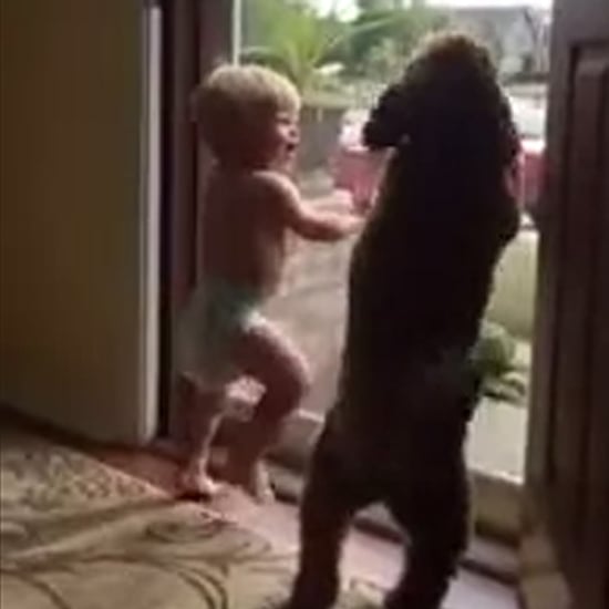 Video of Baby and Dog Dancing When Dad Comes Home
