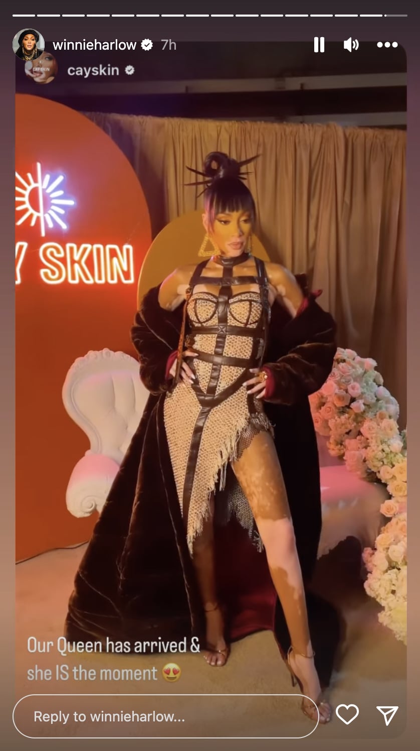 Fashion, Shopping & Style, Winnie Harlow Stuns in a Shredded Corset Dress  With a Thigh-High Slit