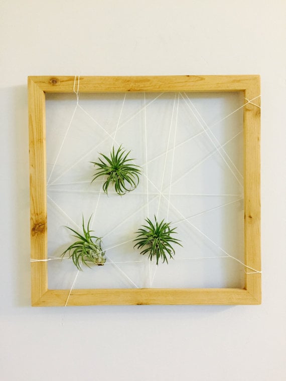 Wood Frame Plant Holder Cute Office Desk Plants And Planters