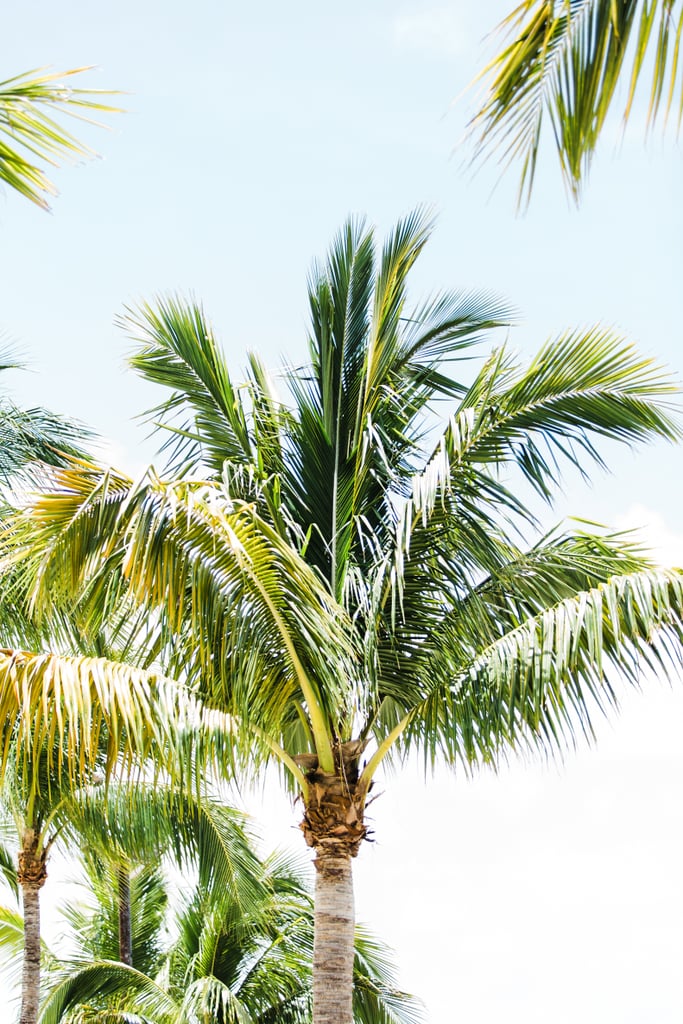 Spring Wedding in Florida Keys