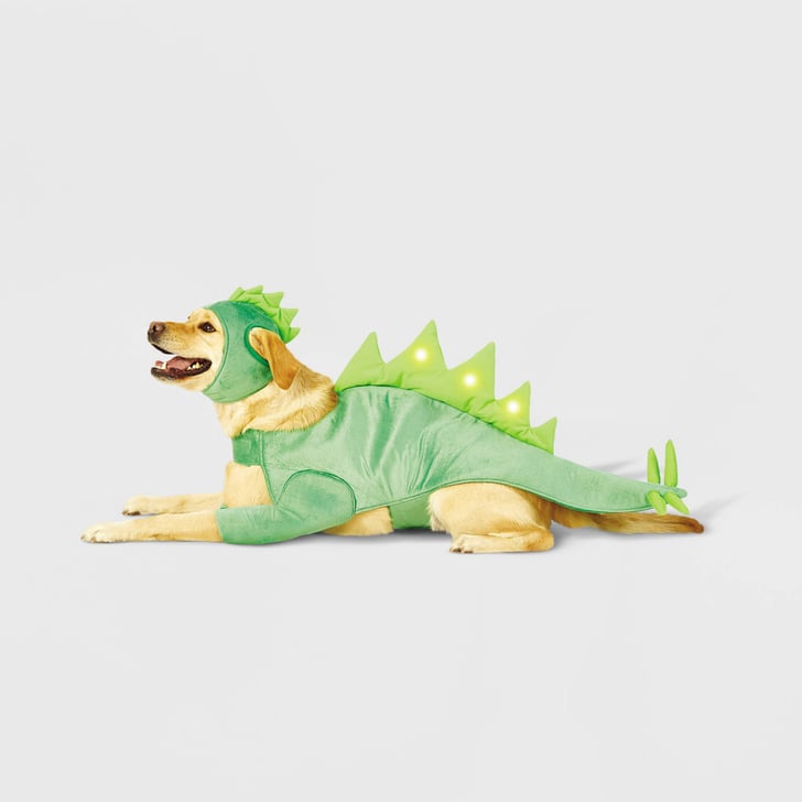 A Dinosaur Hyde & EEK! Boutique LED Stegosaurus Dinosaur Dog and Cat