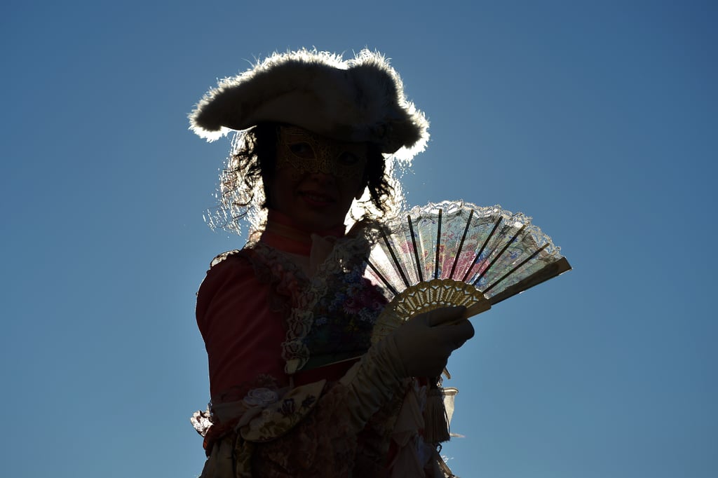 Venice Carnival 2014