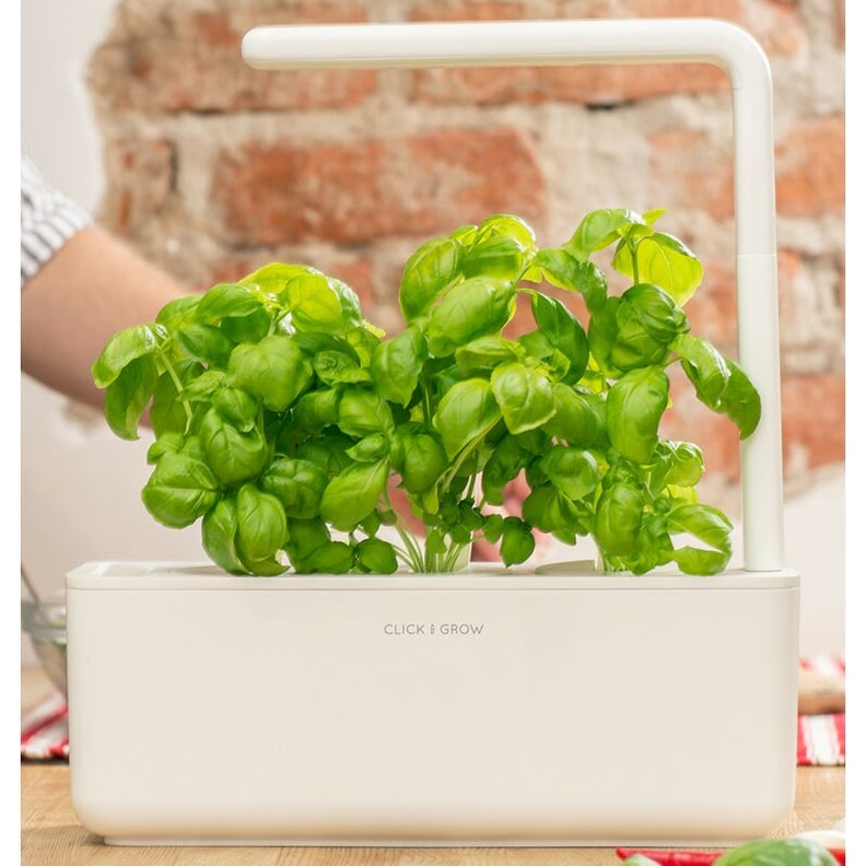 Click & Grow Smart Garden Hydroponic Unit