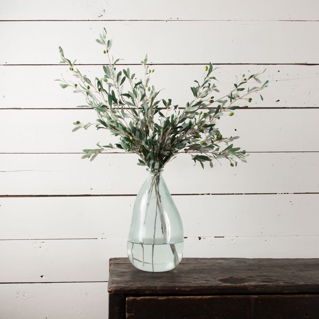 Olive Stem