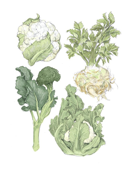 Winter Vegetables Print Fitsugar Picks Our Editors Holiday
