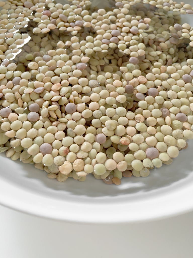 Beans and Lentils