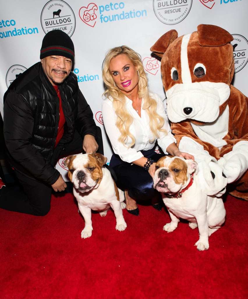 The proud parents to two pups let their animal-loving sides show at an event in 2013.
