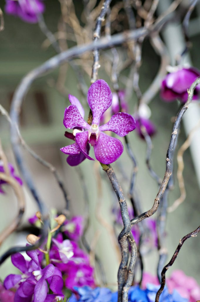 Orchid Centerpiece