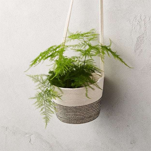 Best Hanging Plant Holders