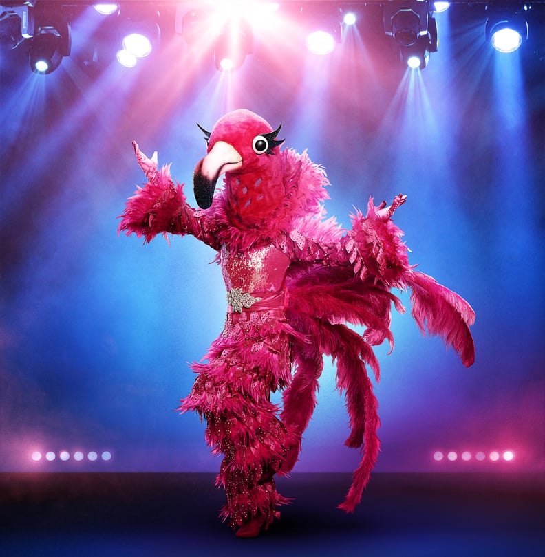 Who is the Flamingo on The Masked Singer?