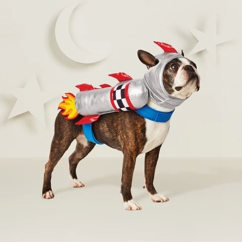 Rocket Dog Costume