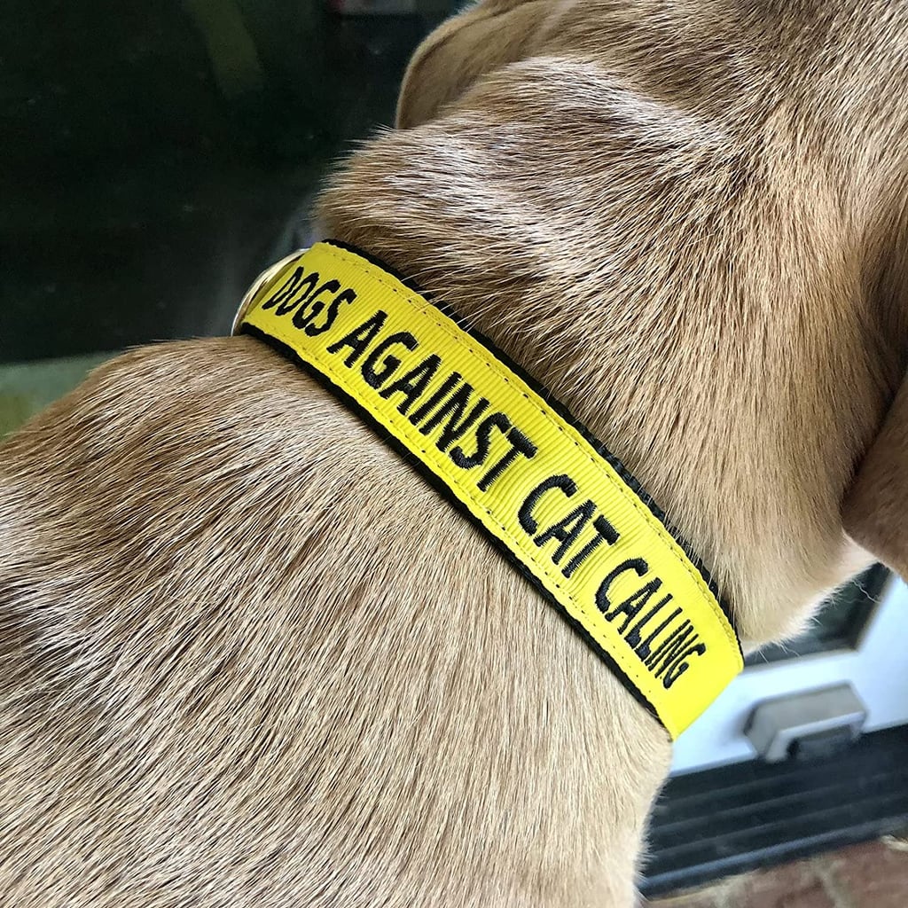 A Cute Dog Collar: Feminist Goods Co. Dogs Against Cat Calling Collar
