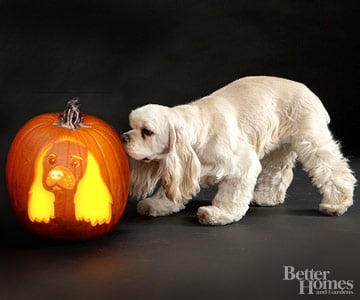 Cocker Spaniel | Downloadable Dog Breed Pumpkin Stencils | POPSUGAR ...