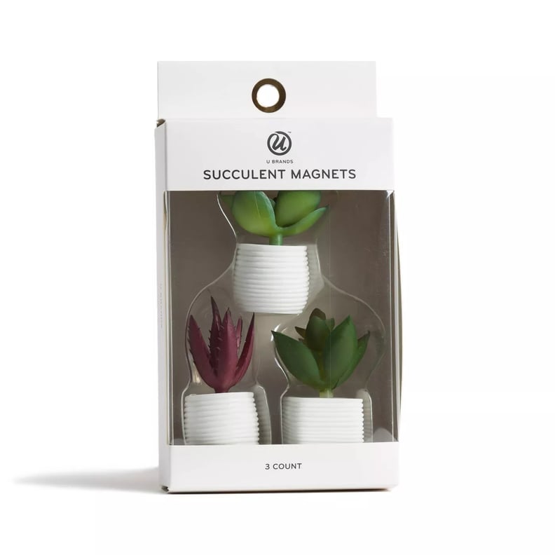 Useful Decor: Succulent Plant Magnets