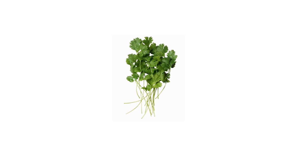 The Benefits of Eating Cilantro POPSUGAR Fitness