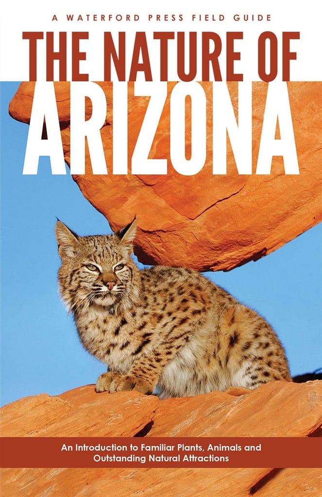 An Arizona Guidebook