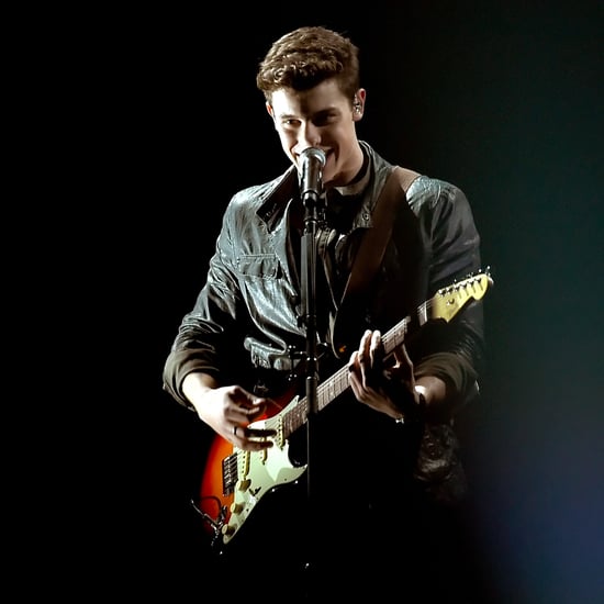 Shawn Mendes's American Music Awards Performance 2016