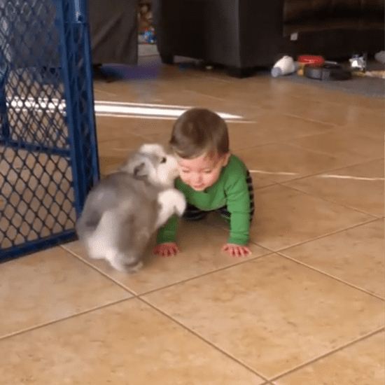 Video of Puppy Who Loves Children