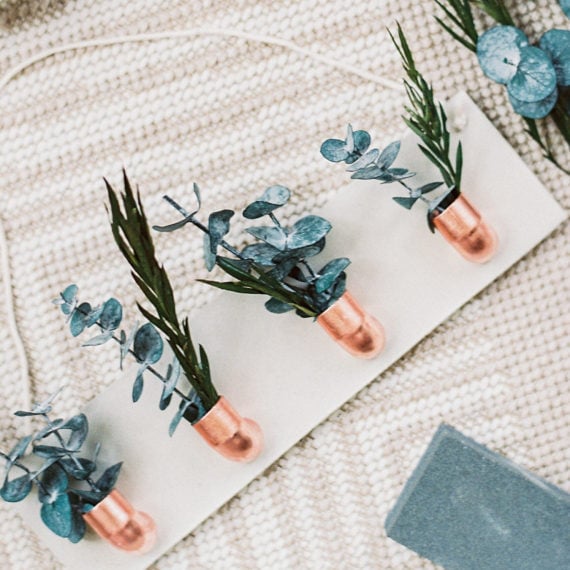 Air Plant Holder