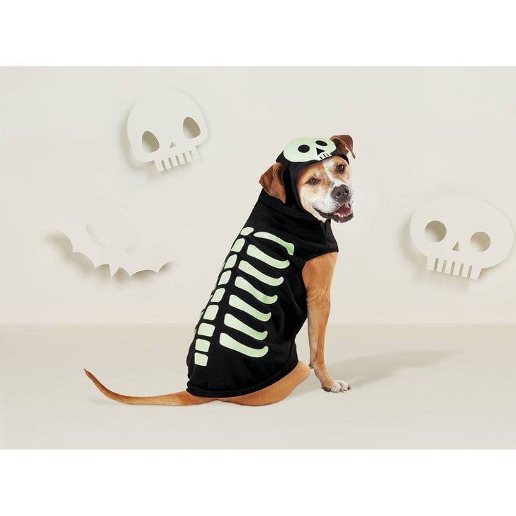 dog skeleton hoodie
