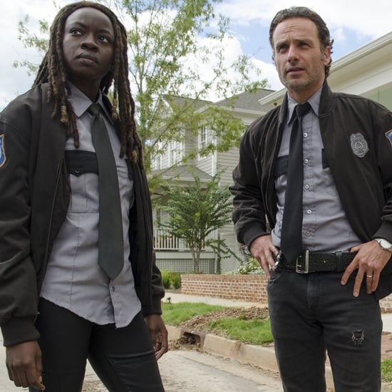 The Walking Dead Rick and Michonne GIFs