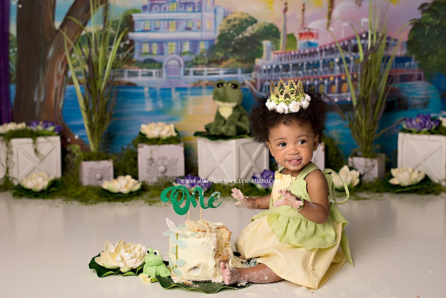 Princess and the Frog Cake Smash