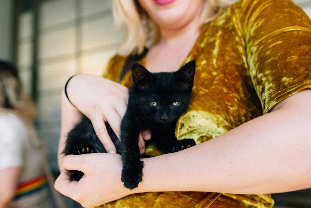 Couple Has Kitten Hour at Their Wedding
