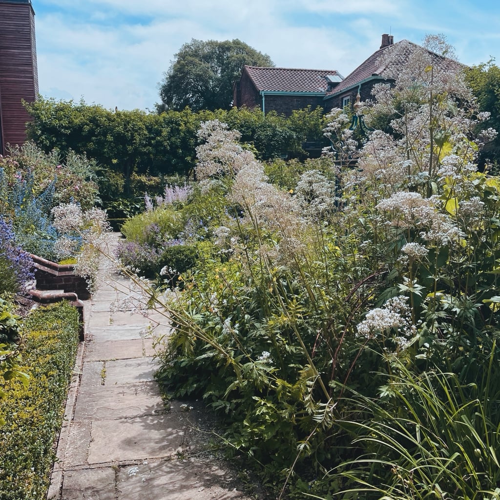 An Edible Garden