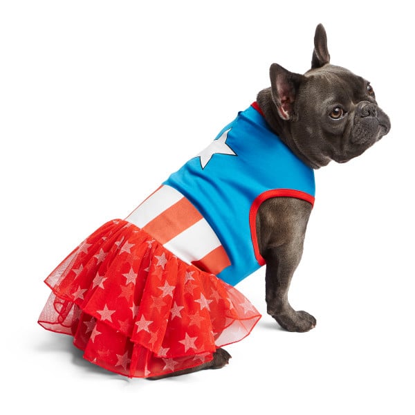 Captain america dog bandana Outlet