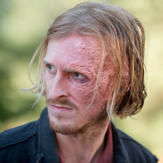 Who Is Dwight in The Walking Dead Comics?