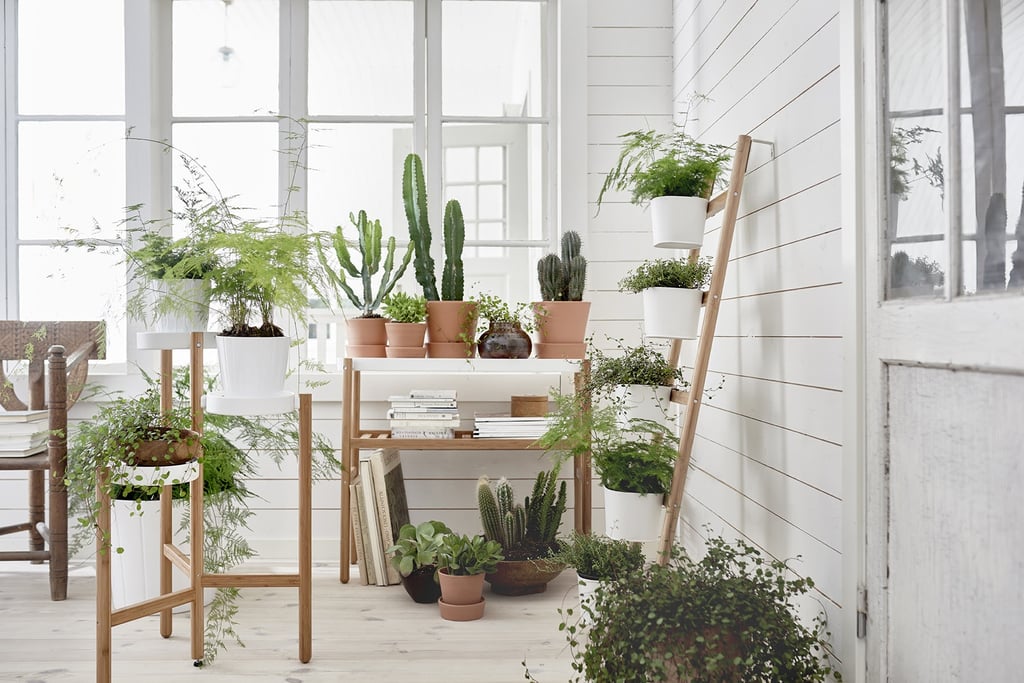 These varying plant stands — ranging from $30 to $45 — allow for a clean way of displaying many houseplants.