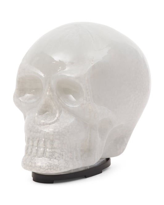 LED Skull