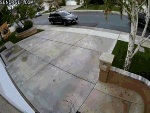 He Parks Like an *sshole
